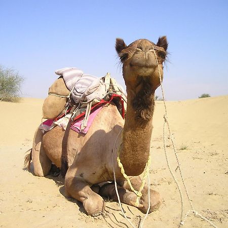 Hotel Royal Jaisalmer Εξωτερικό φωτογραφία