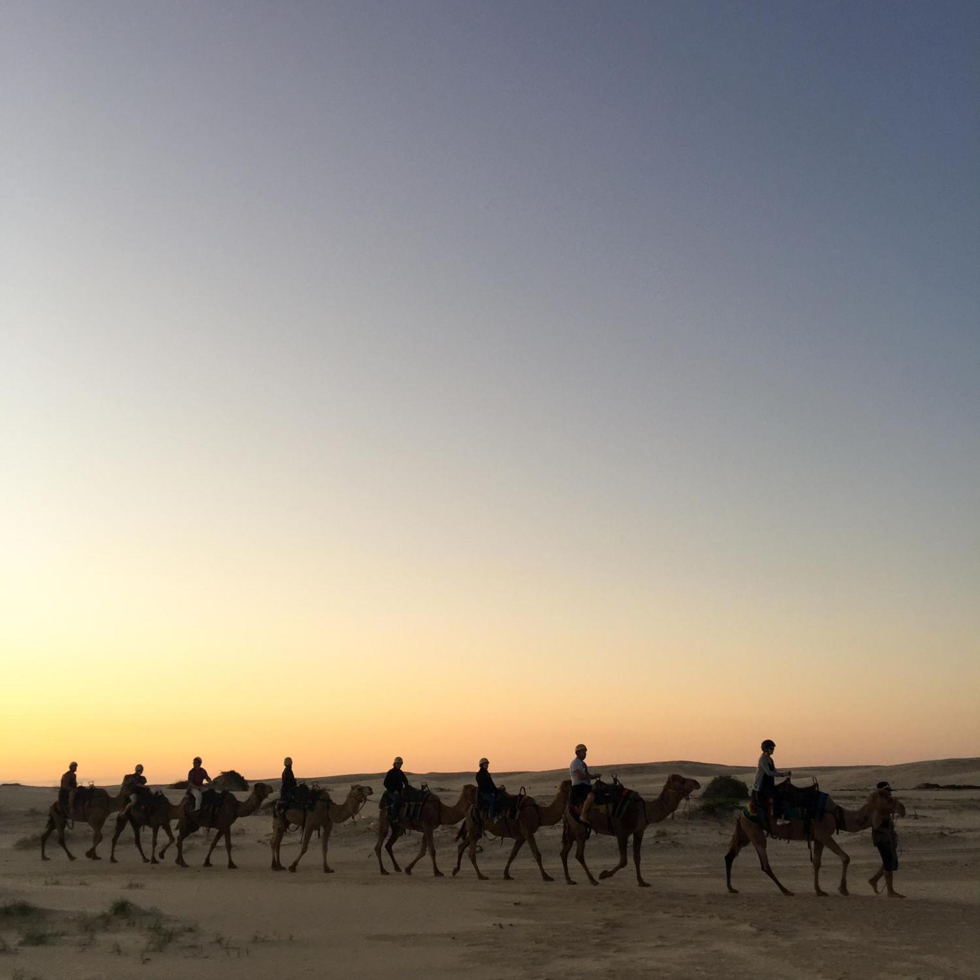 Hotel Royal Jaisalmer Εξωτερικό φωτογραφία