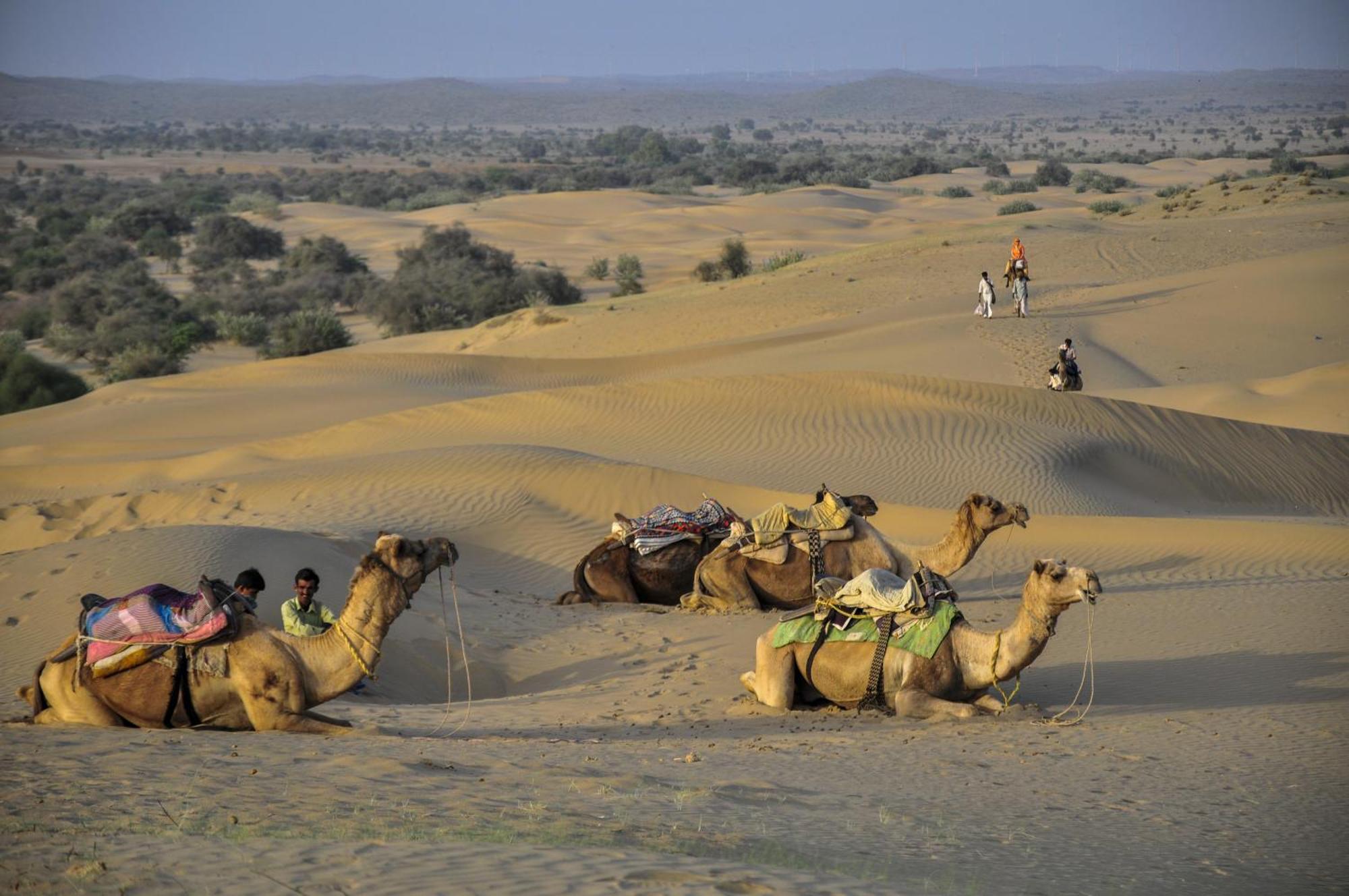 Hotel Royal Jaisalmer Εξωτερικό φωτογραφία