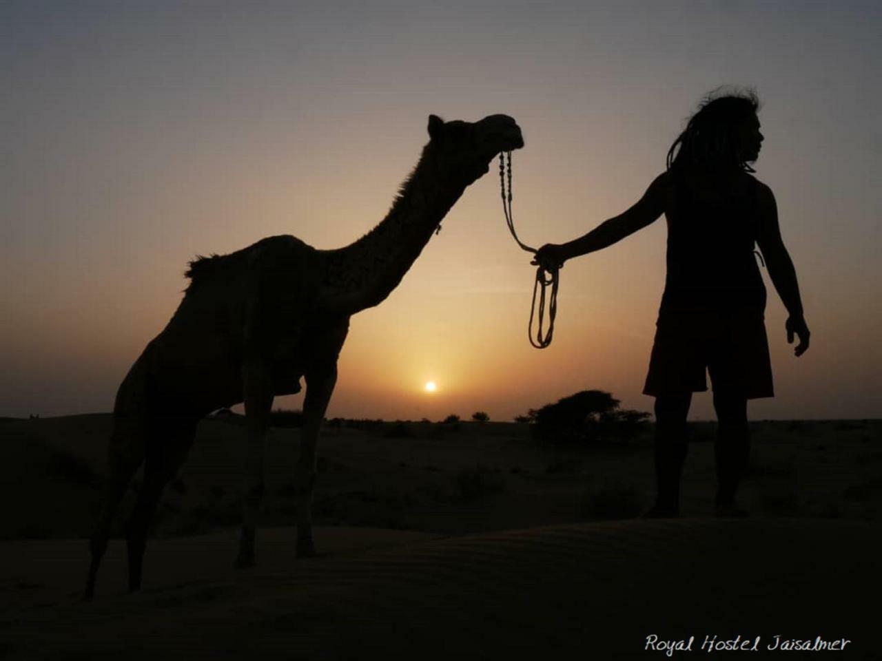 Hotel Royal Jaisalmer Εξωτερικό φωτογραφία